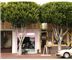Zebra Organics Store - Los Angeles, CA