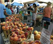 Photo of North Point Farmers Market - Baltimore, MD - Baltimore, MD