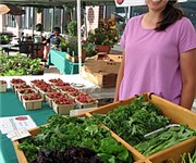 Photo of Rehoboth Farmers Market - Rehoboth, MA